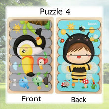 4 Pack Double-Sided Wooden Stick Puzzles